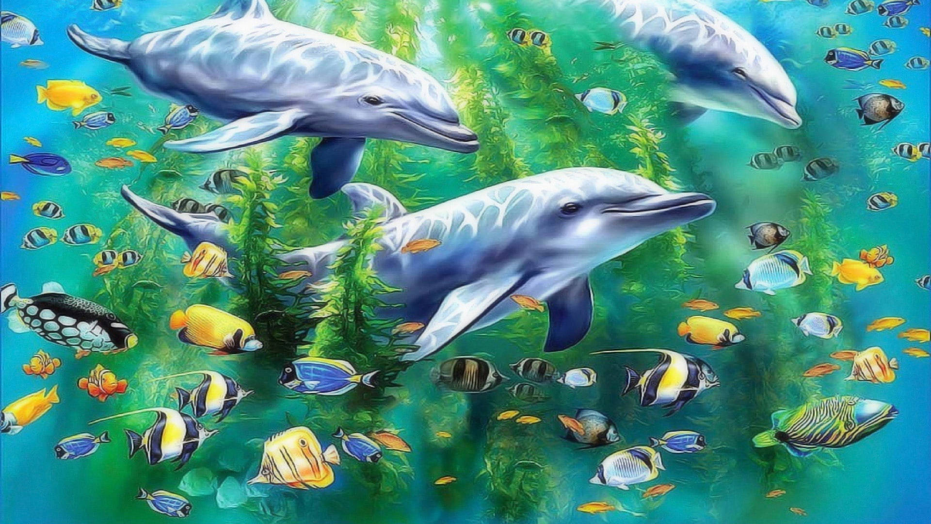 Dolphin Tropical Fish Wallpaper