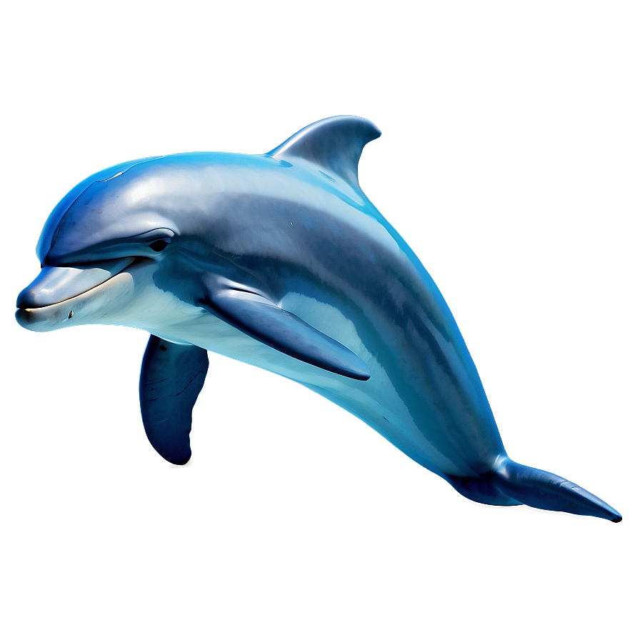 Download Dolphin Vector Png 91 | Wallpapers.com