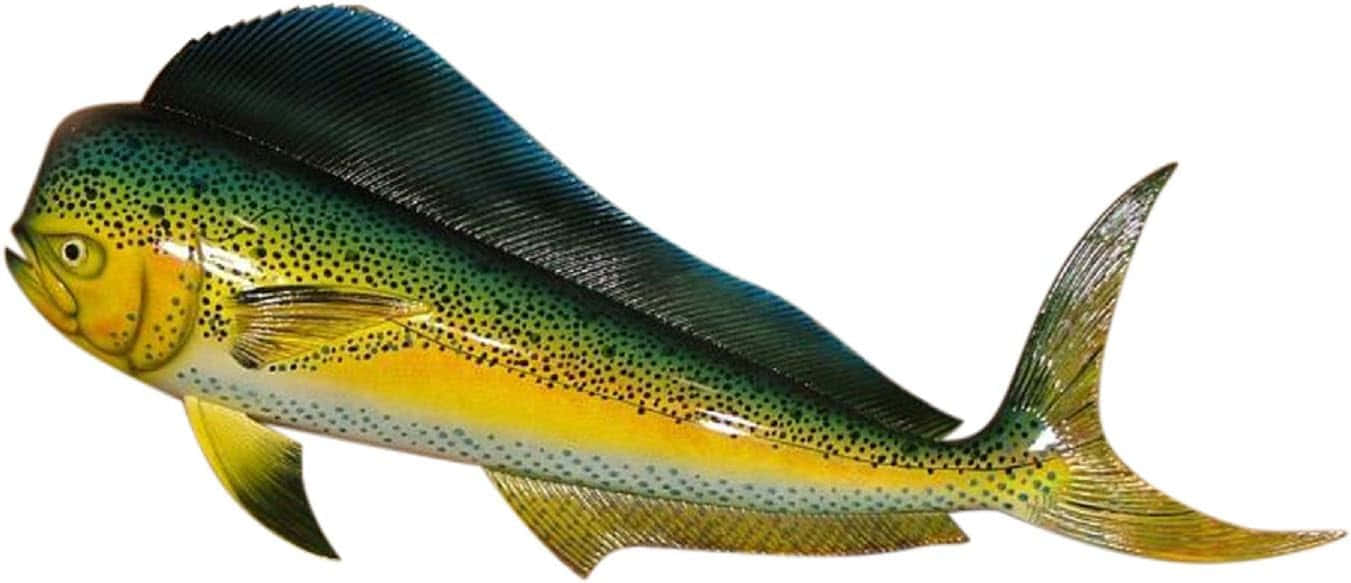 Dolphinfish Mahi Mahi Side View Wallpaper