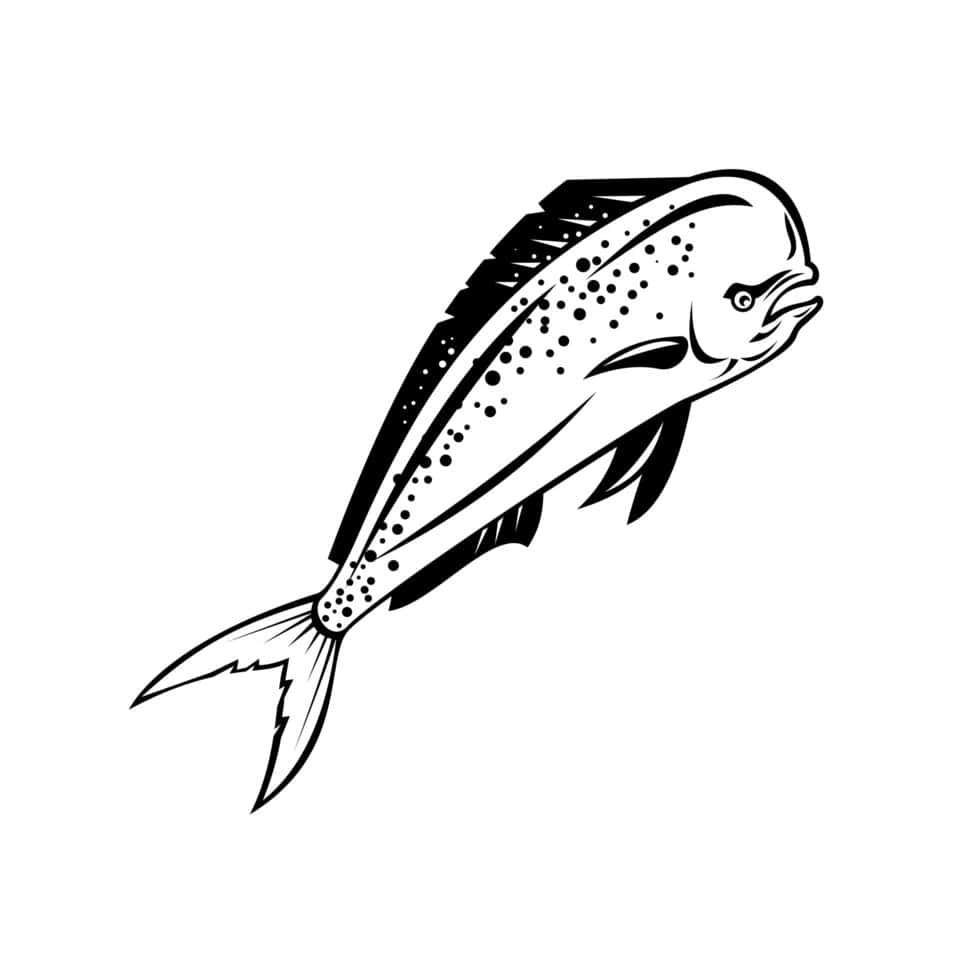 Dolphinfish Vector Illustration Wallpaper