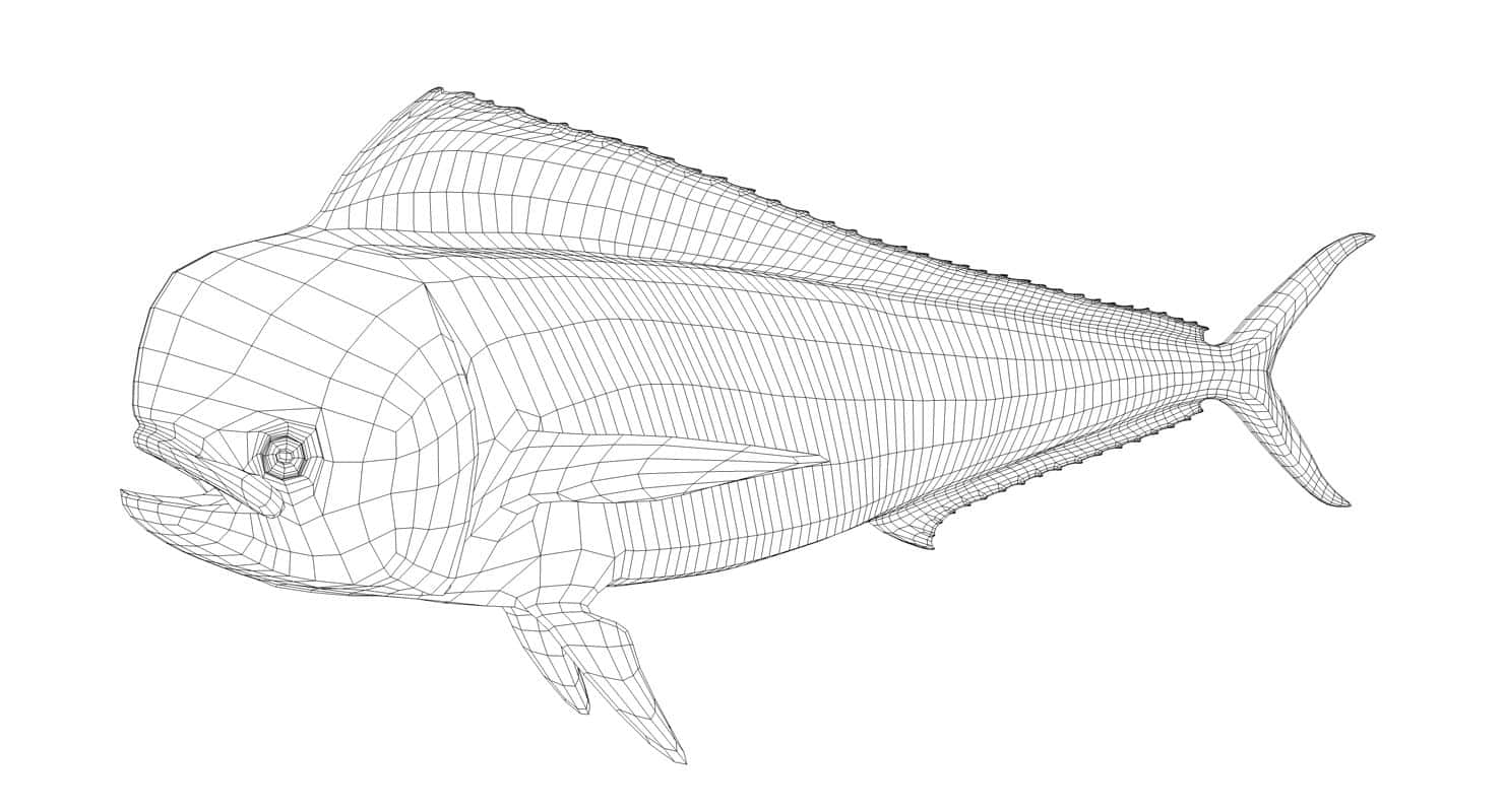 Dolphinfish Wireframe Illustration Wallpaper