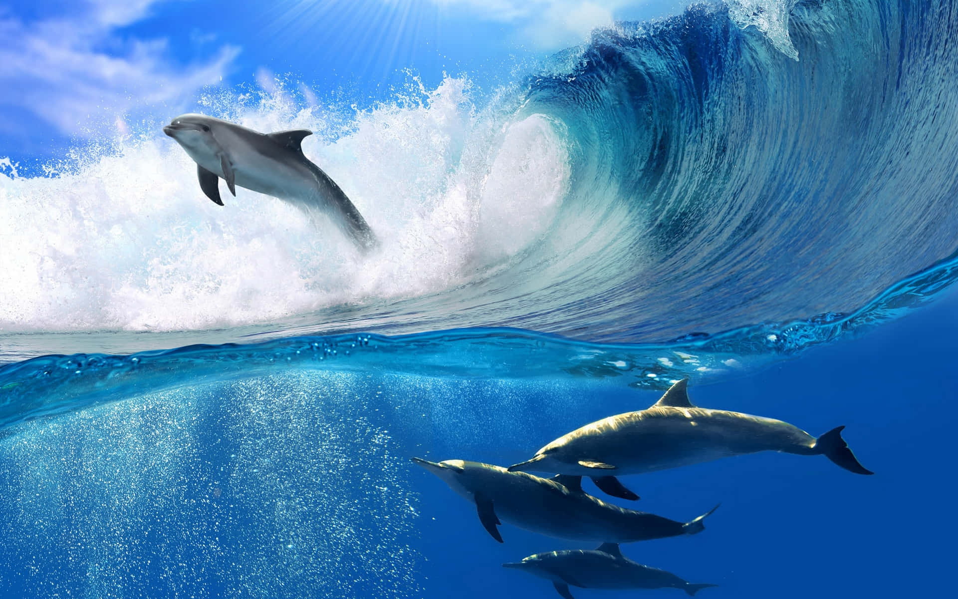 A school of dolphins playfully swim in the crystal clear blue ocean.