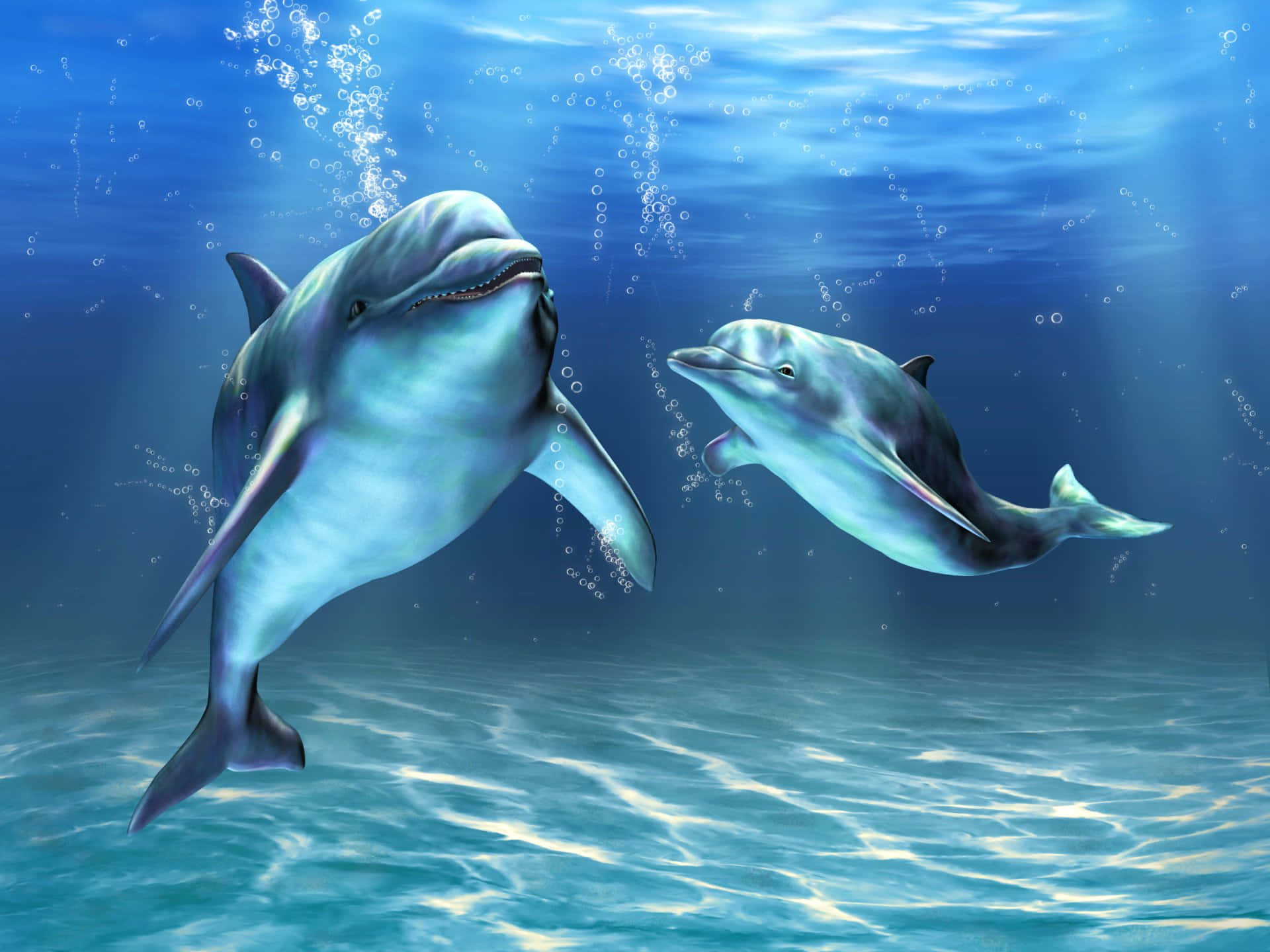 Esplorala Bellezza Dei Delfini In Libertà