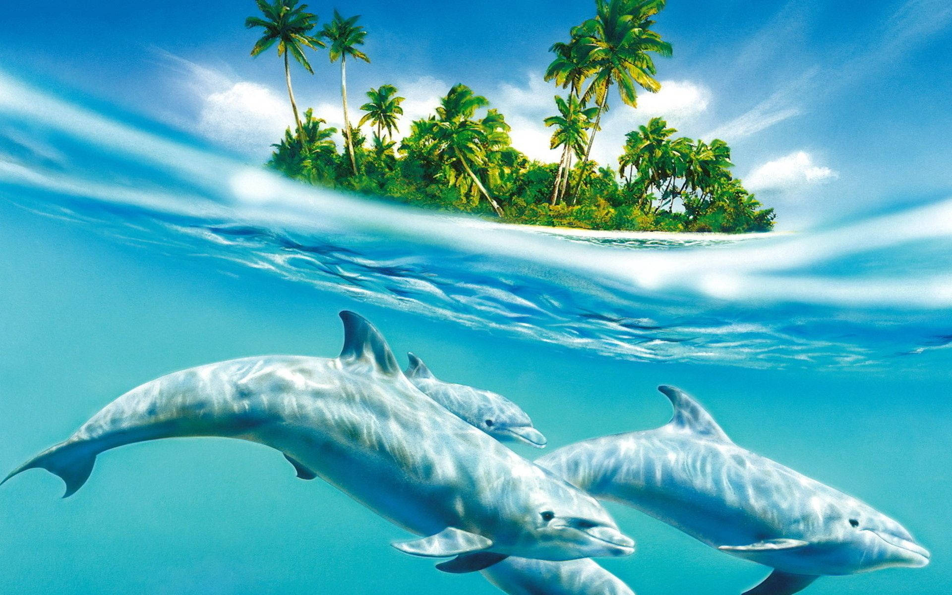 Dolphins And Palm Trees Wallpaper