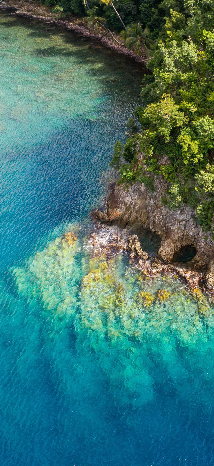 Vista Aerea Dell'isola Di Dominica Sfondo