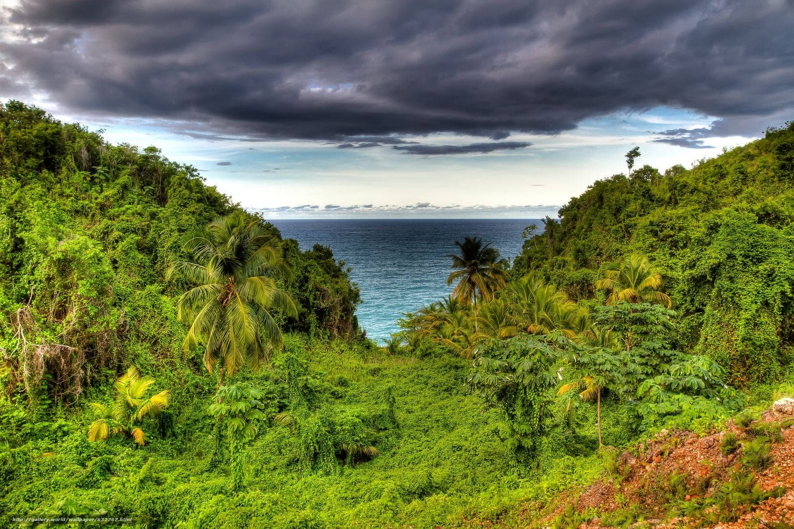 Dominicaisla Selva Tropical Fondo de pantalla