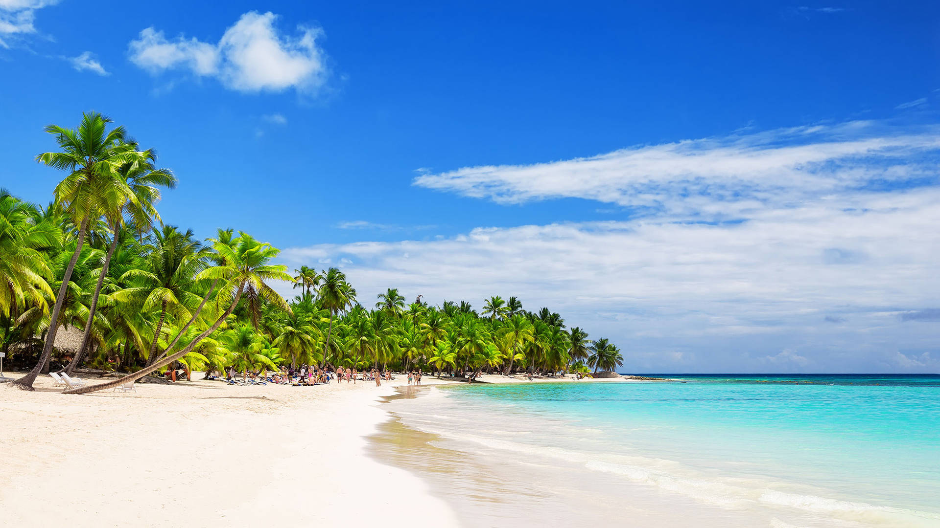 Spiaggia Di Sabbia Bianca Della Dominica Sfondo