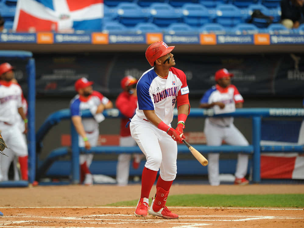 Dominican Baseball Player At Bat Wallpaper