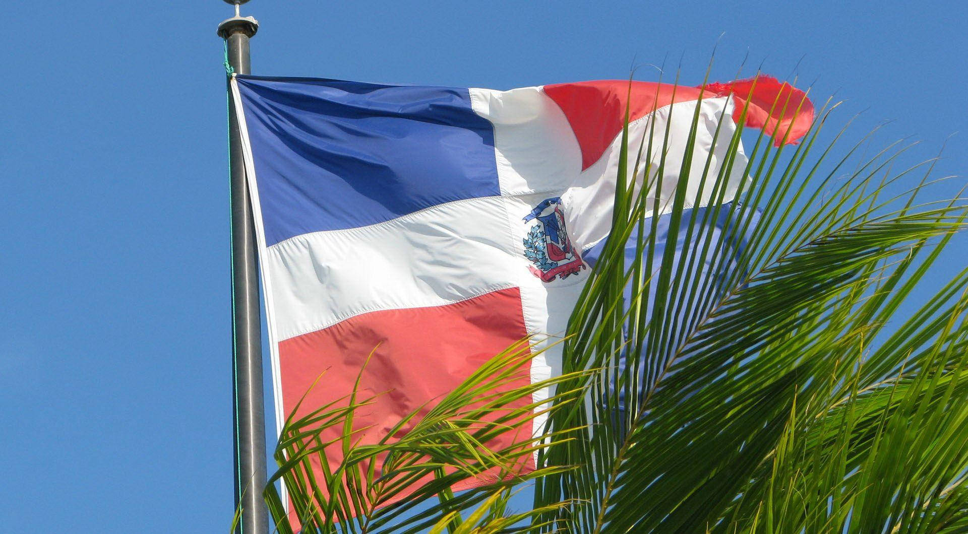 Dominican Republic Palm Tree Flag Picture