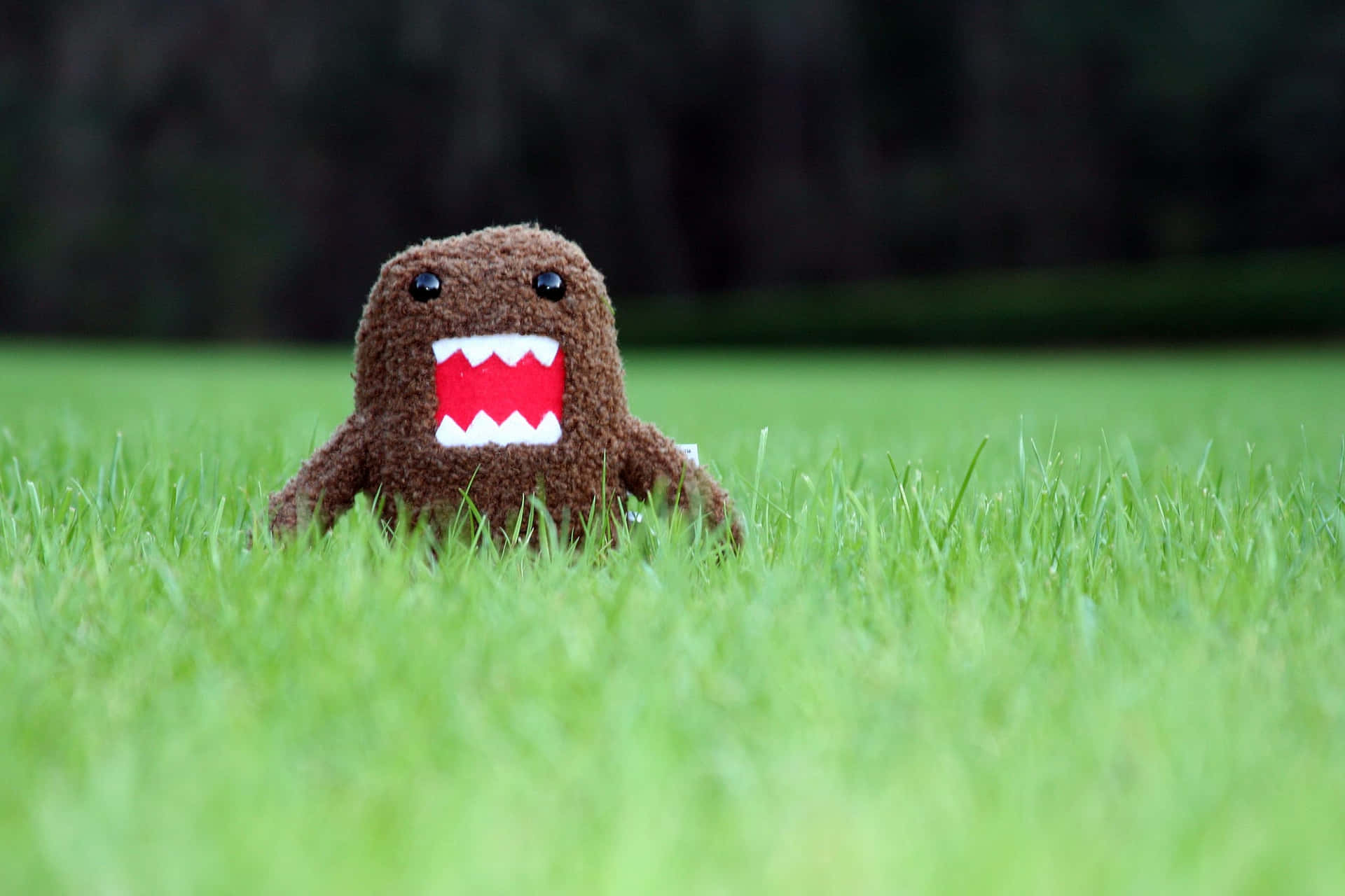 Domo Kun Plush In Grass Wallpaper