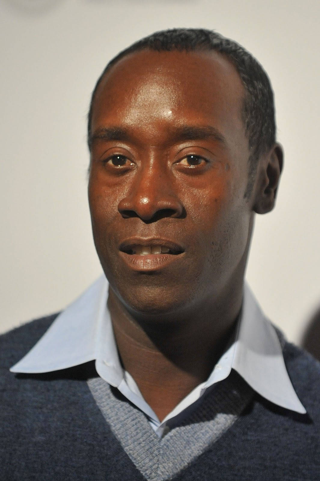 Don Cheadle Looking Sophisticated in Blazer Wallpaper