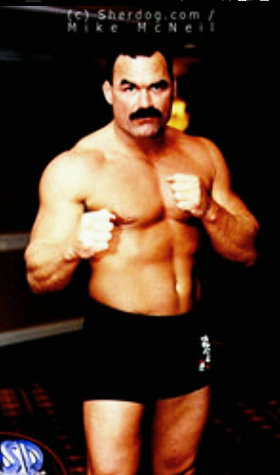 Don Frye Boxing Pose In Black Background Wallpaper