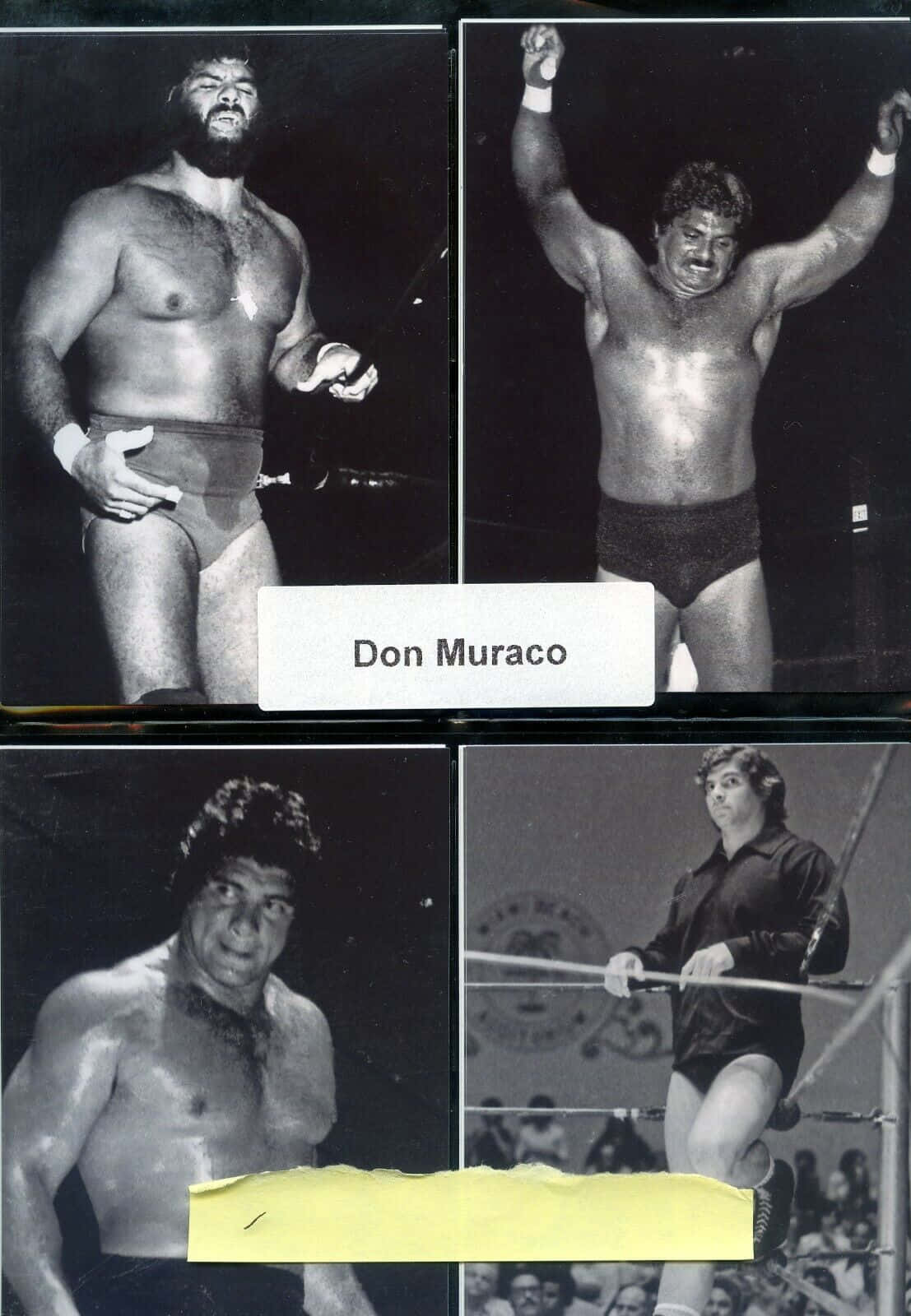 Don Muraco Black And White Photo Compilation Wallpaper