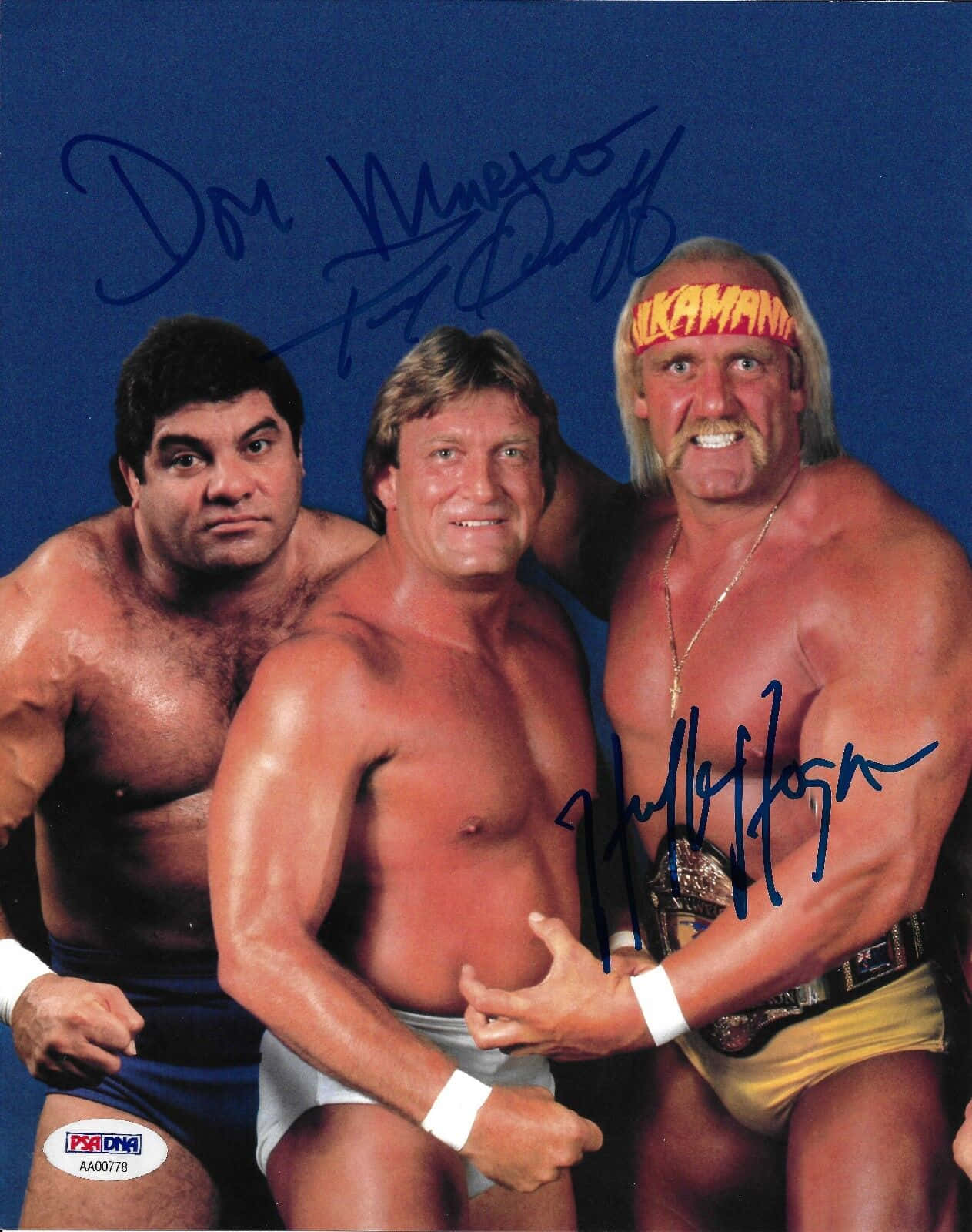 Don Muraco With Paul Orndorff Hulk Hogan Wallpaper