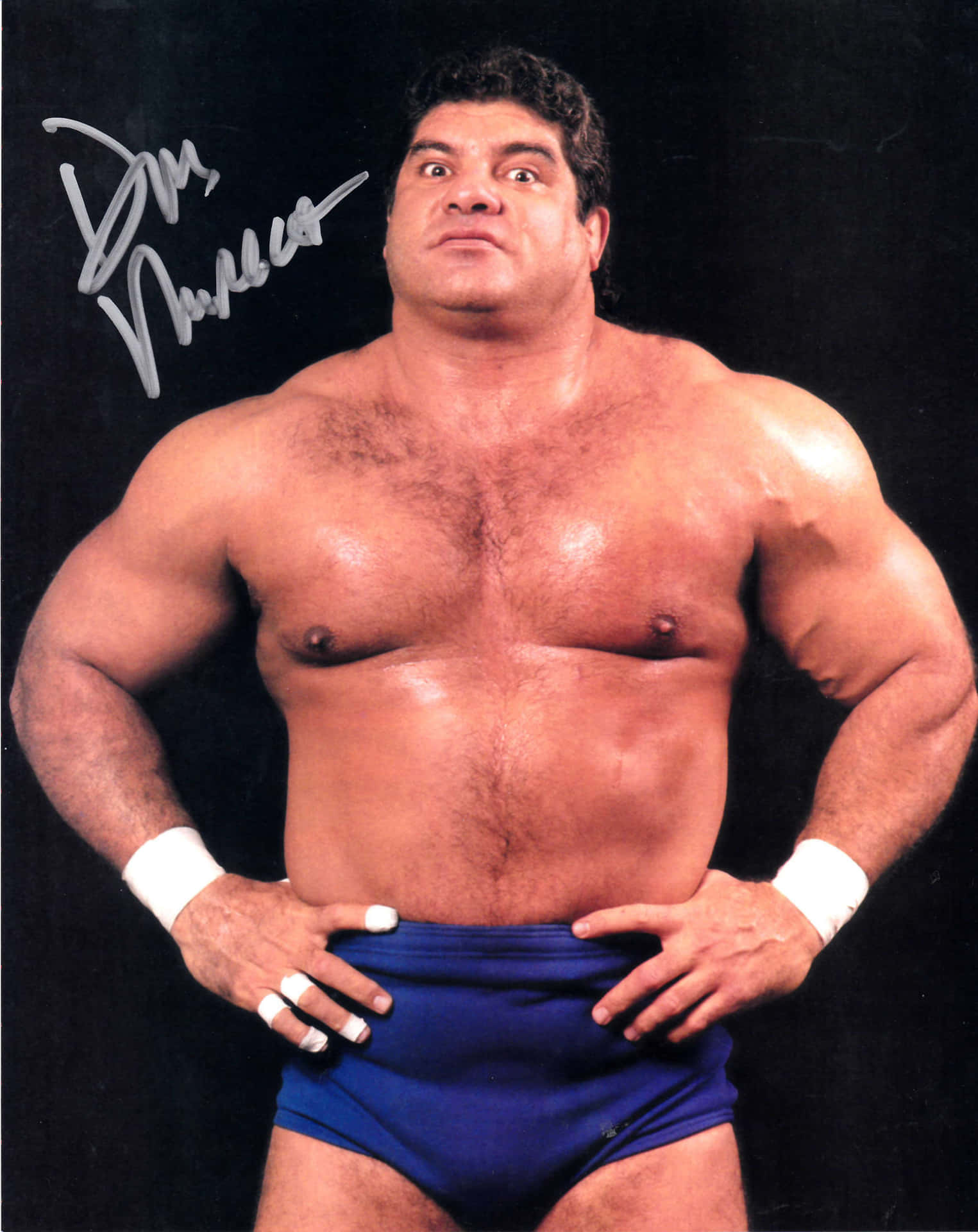 Don Muraco Wrestler Signed Photo Wallpaper