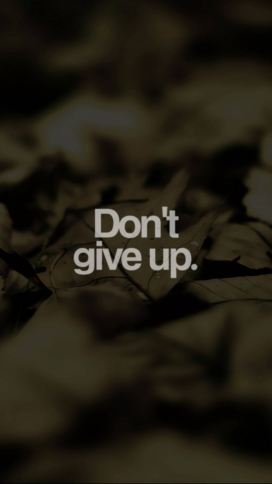 Never Give Up iPhone Wallpaper HD  iPhone Wallpapers