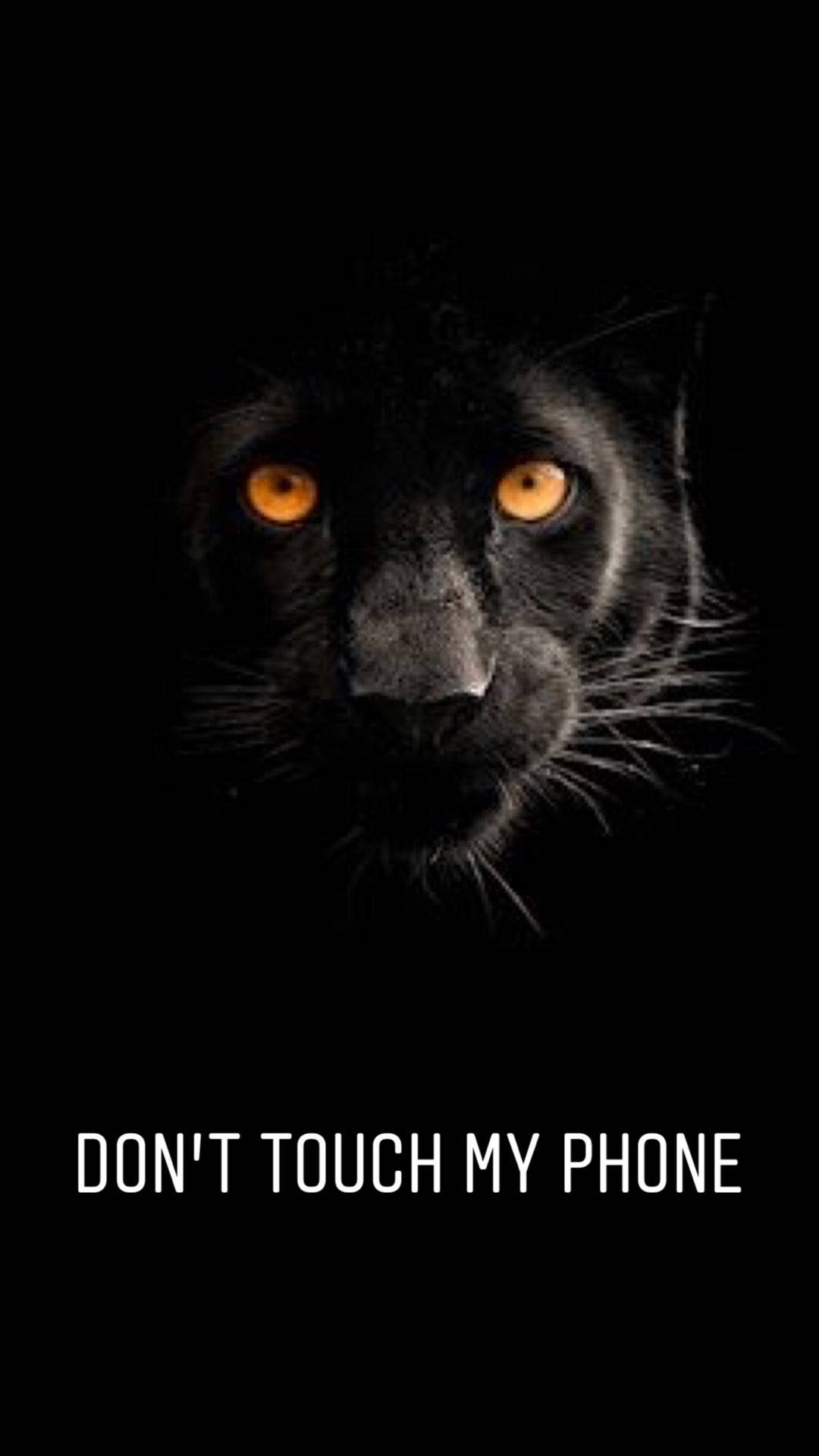Don't Touch My Phone Black Panther