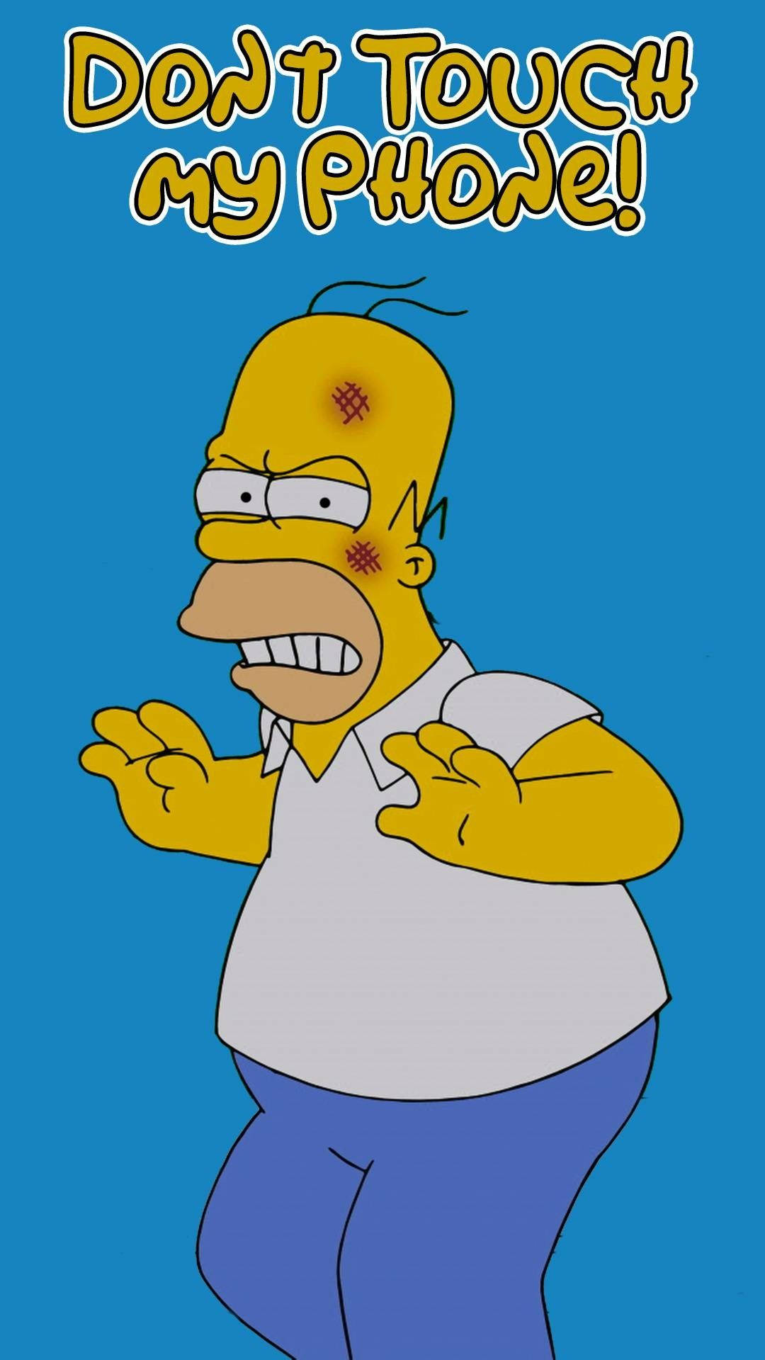 Don't Touch My Phone Homer Simpson