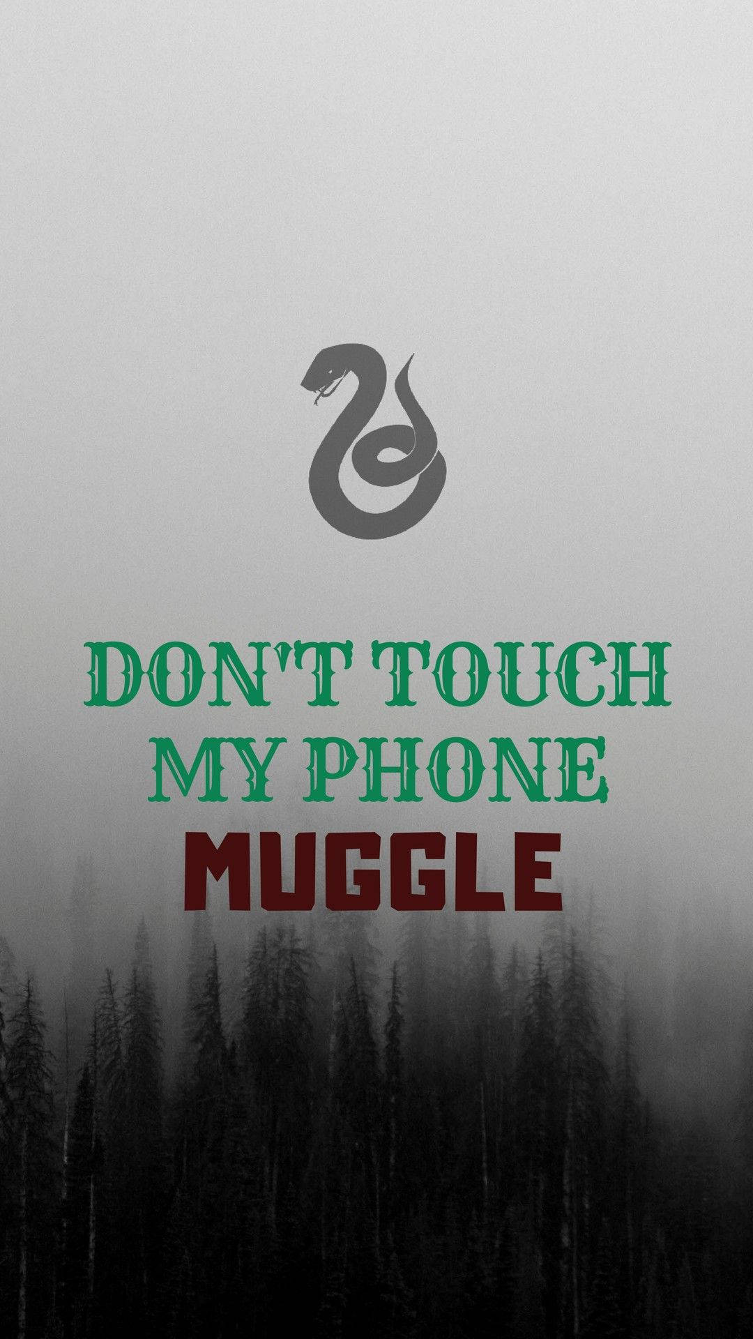 Don't Touch My Phone Slytherin Serpent