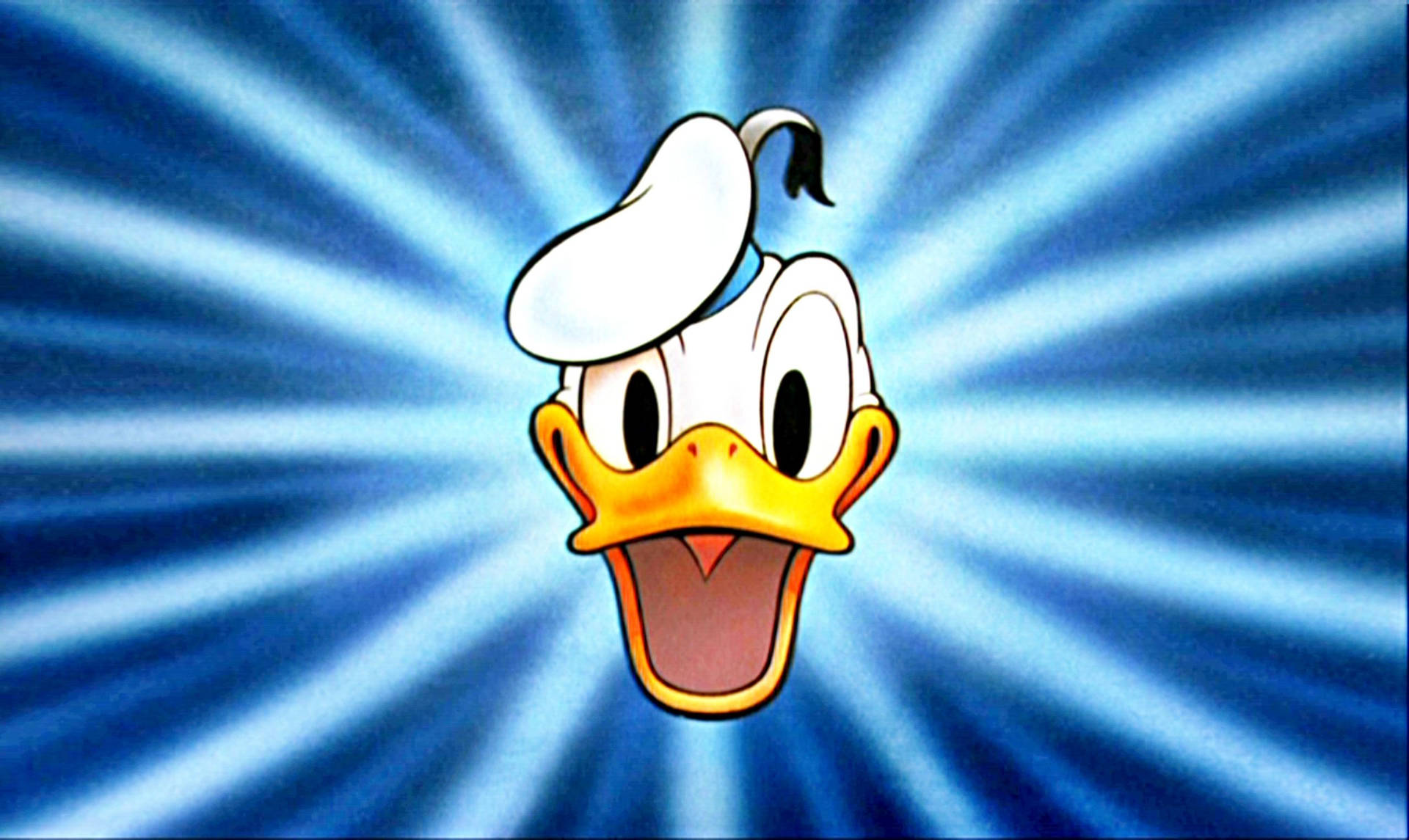 Donald Duck Goin' Quackers Wallpaper