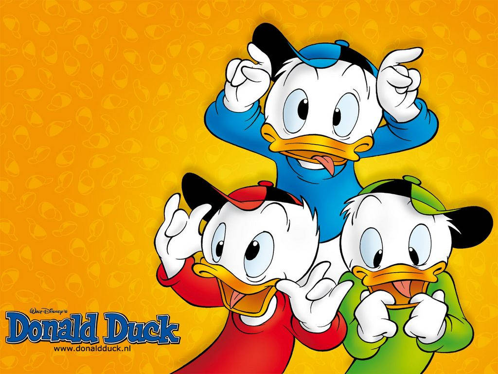 Donald Duck Goofy Nephews Wallpaper