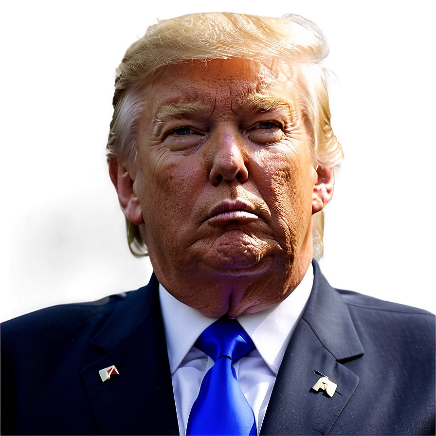 Donald Trump Presidential Portrait Png 24 PNG