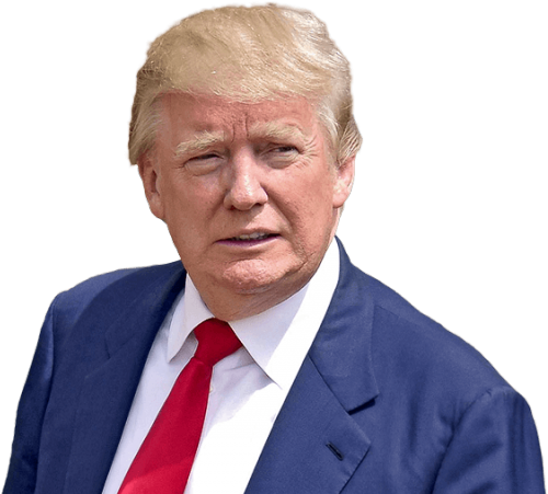 Donald Trumpin Suit PNG