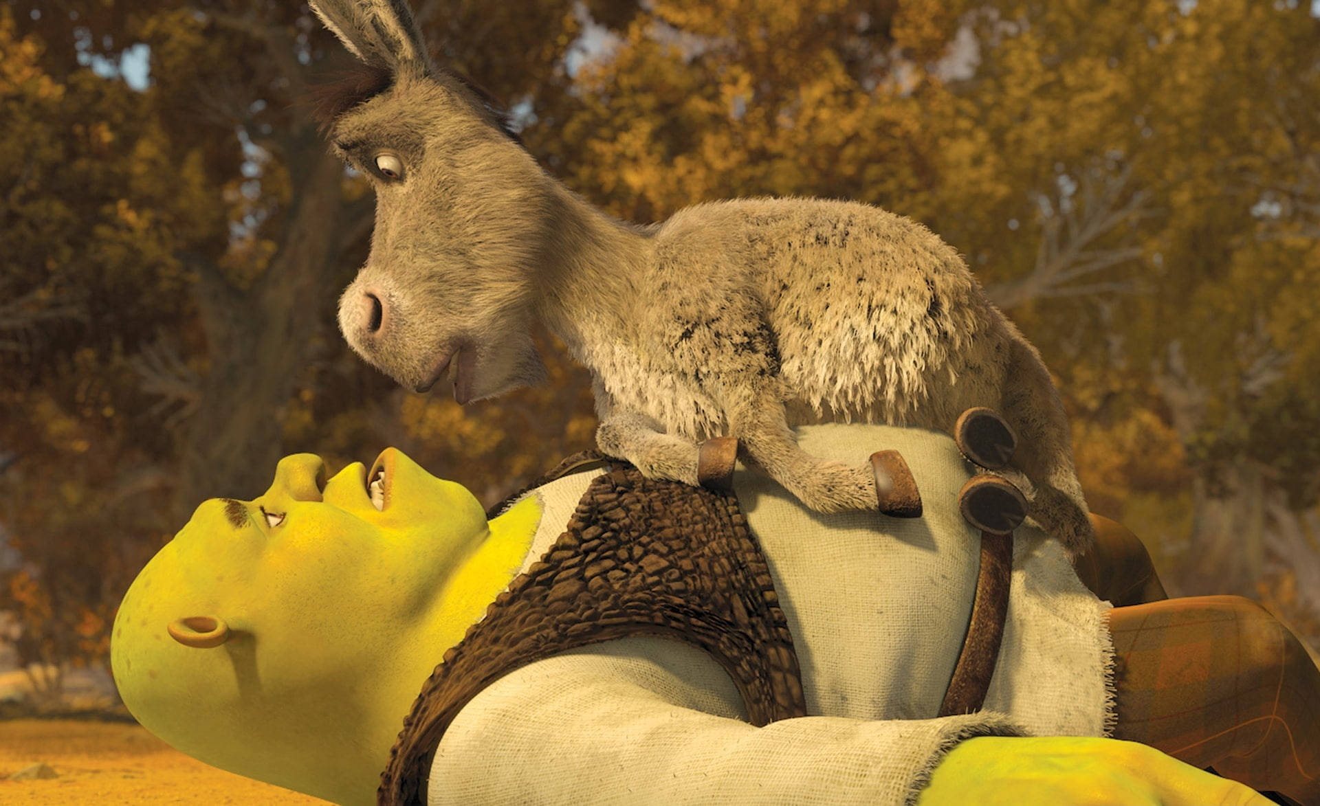 Donkey On Top Of Shrek PC Wallpaper