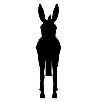 Donkey Silhouette Graphic PNG
