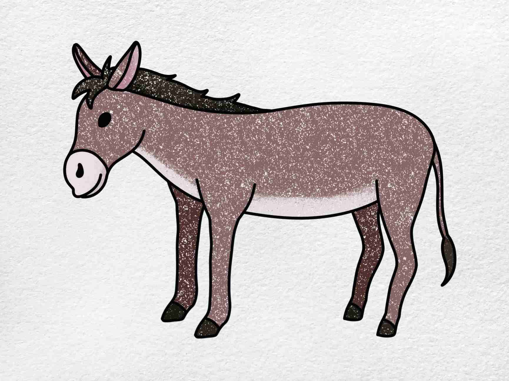 Donkeybilder(as In Pictures Of Donkeys)