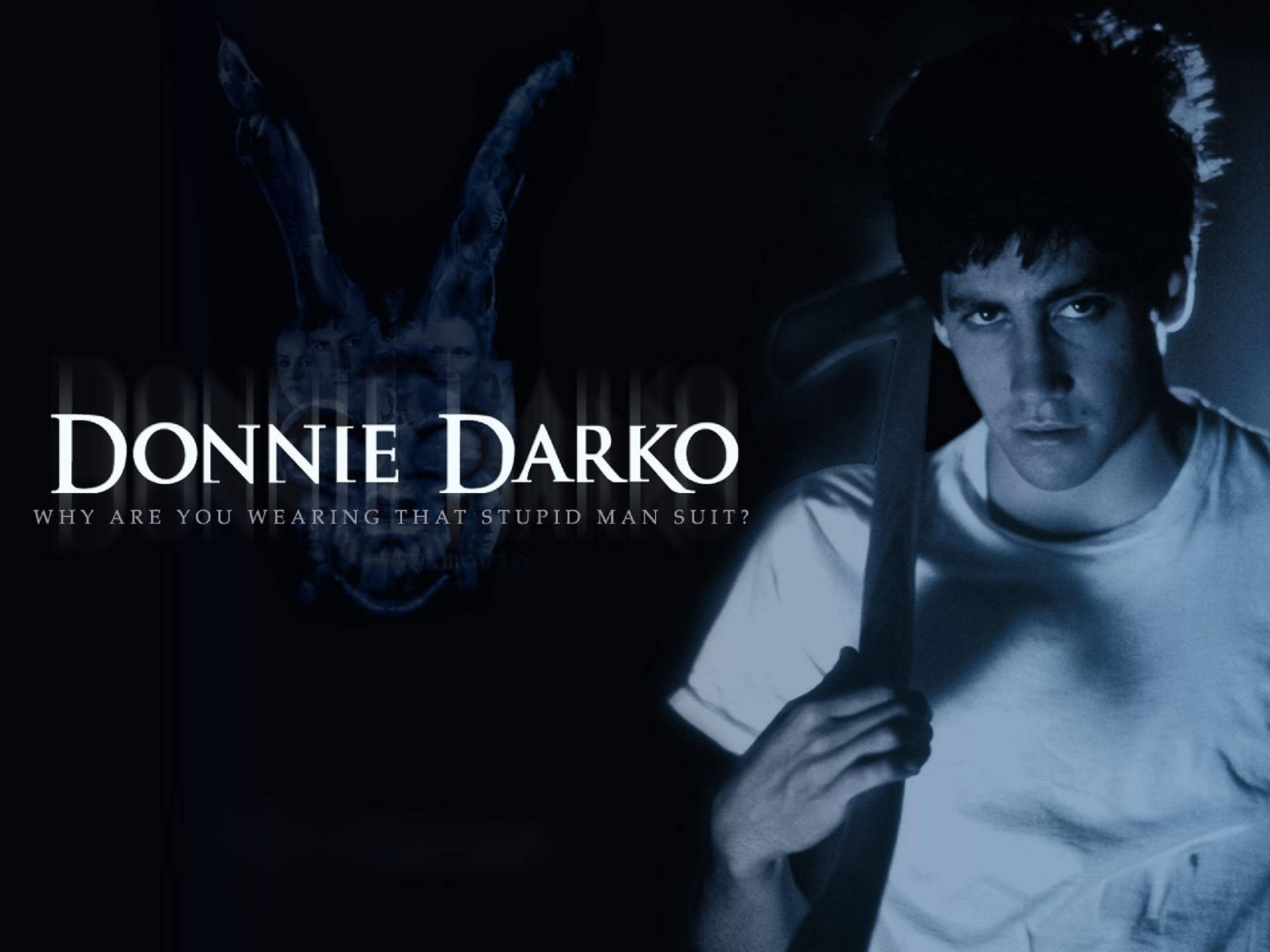Donnie Darko Movie Poster Wallpaper