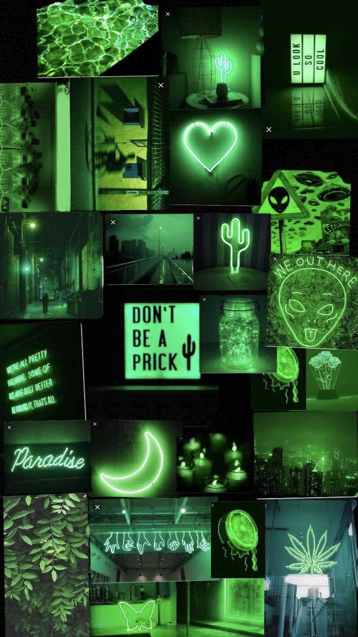 Don’t Be A Picky Neon Green Aesthetic Wallpaper