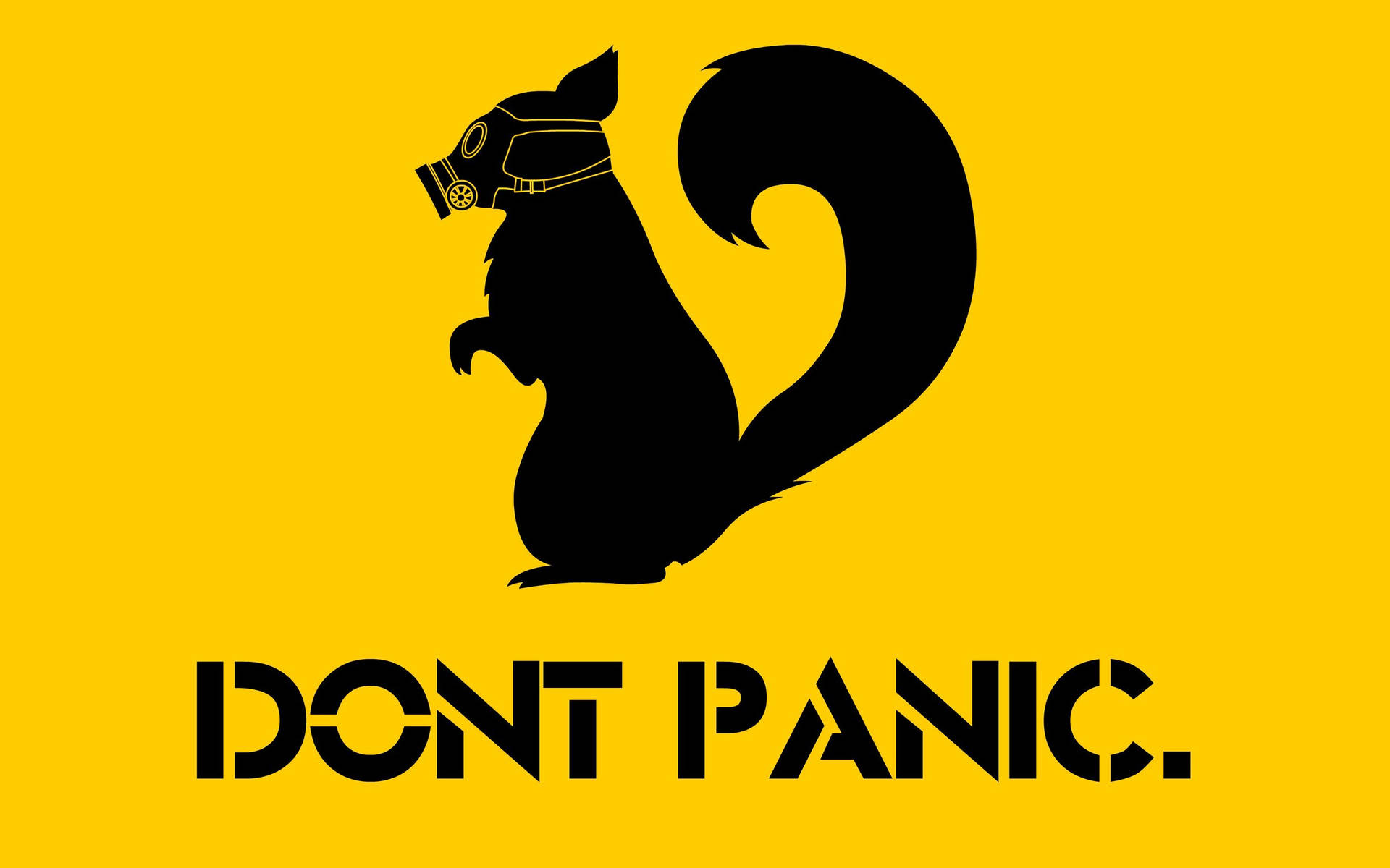 Don’t Panic Masked Squirrel Wallpaper