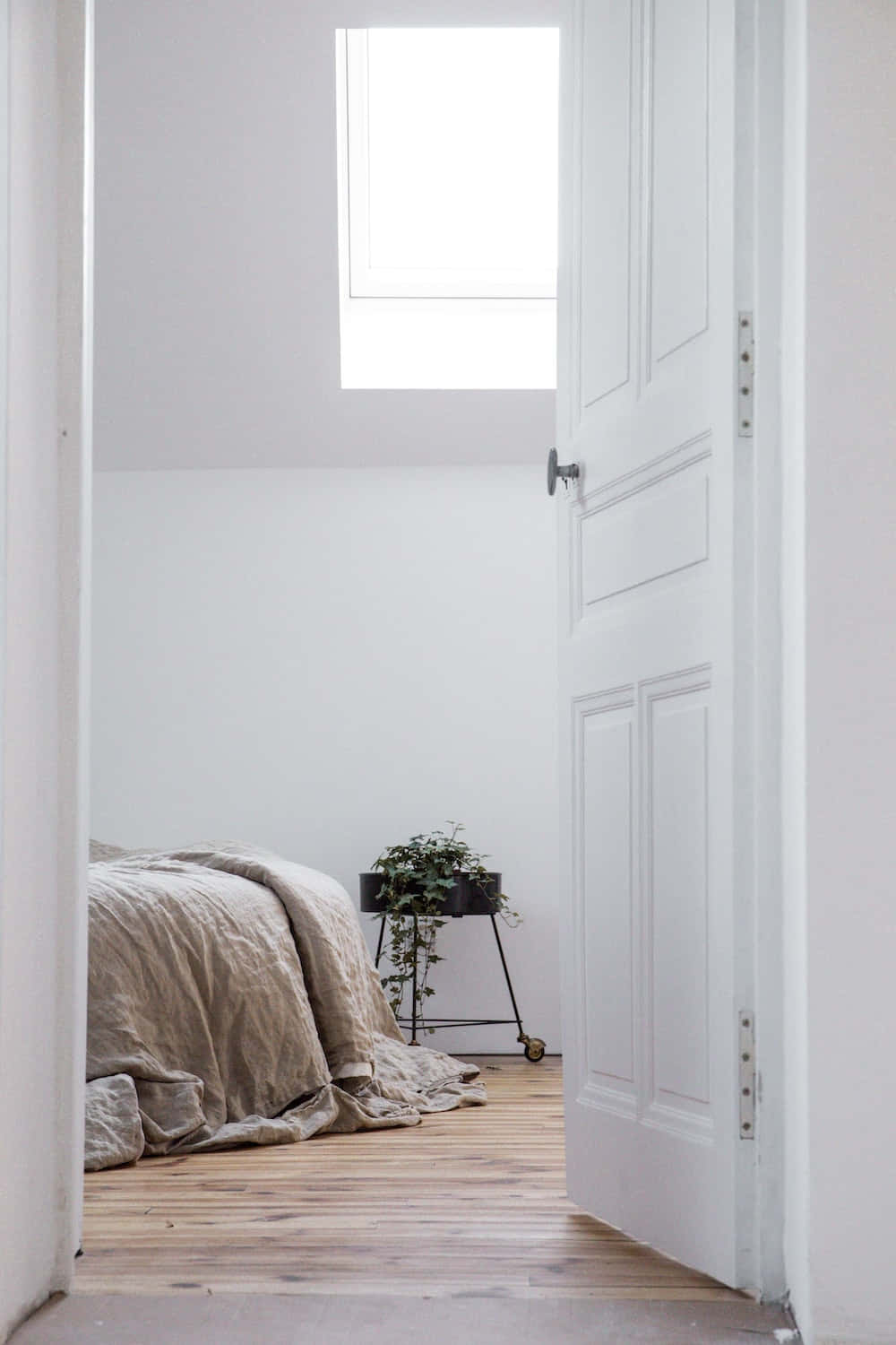 A White Door With A Skylight