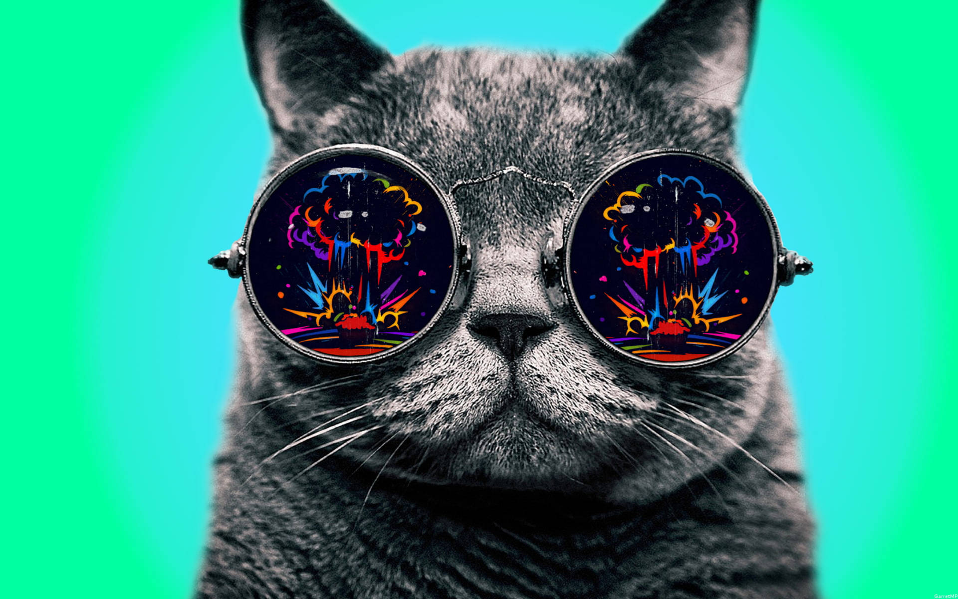 Dope Gray Cat With Glasses