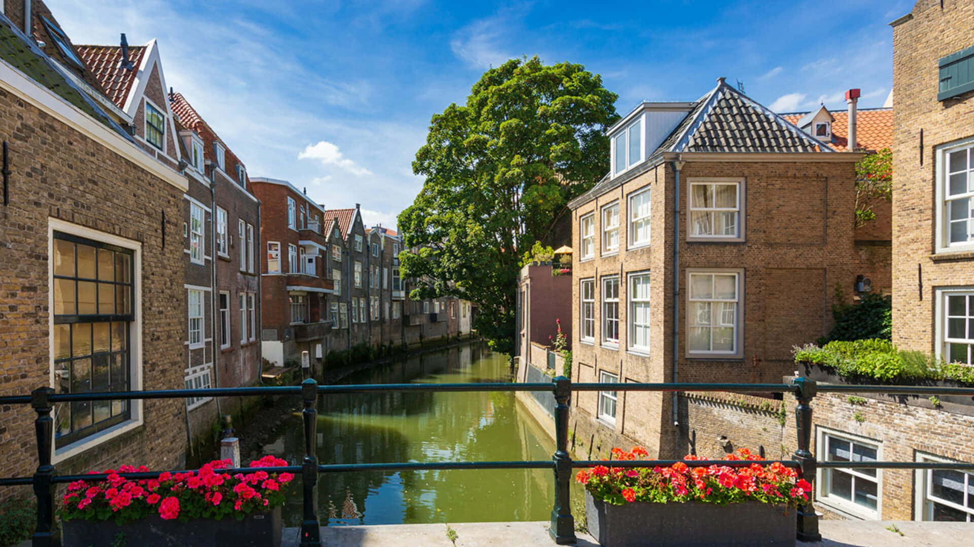 Dordrecht Historic Canal View Wallpaper