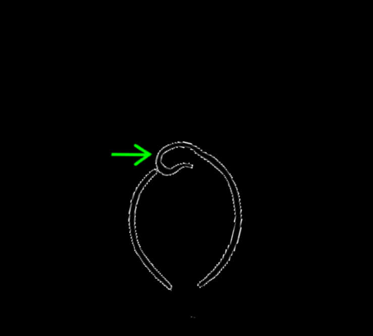 Dotted Line Arrow Indicating Direction PNG