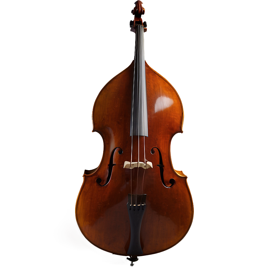 Double Bass D PNG