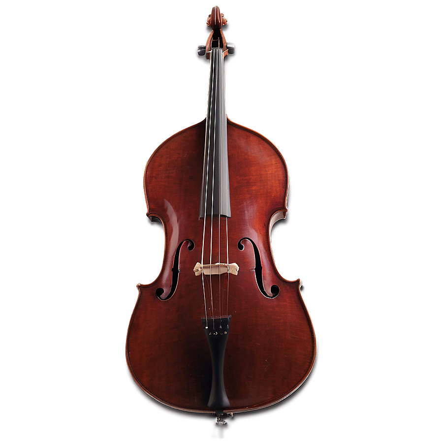 Double Bass F-holes Png 13 PNG