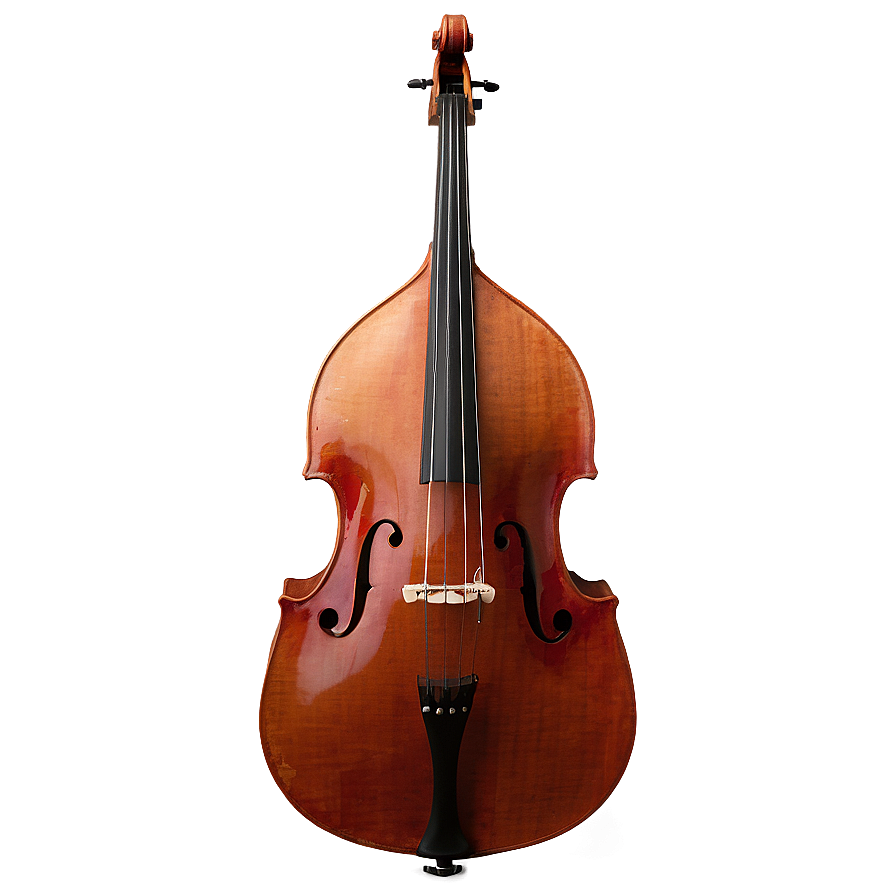 Double Bass In Nature Png Smn PNG