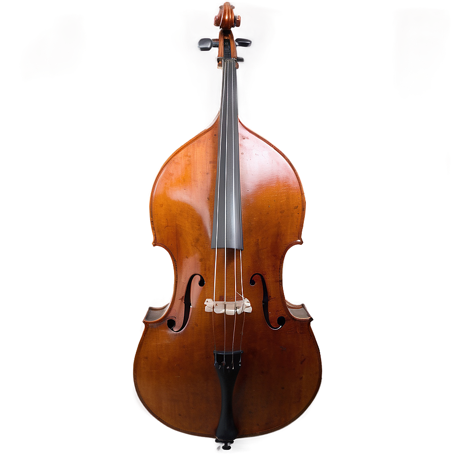 Double Bass In Orchestra Png Mcv PNG