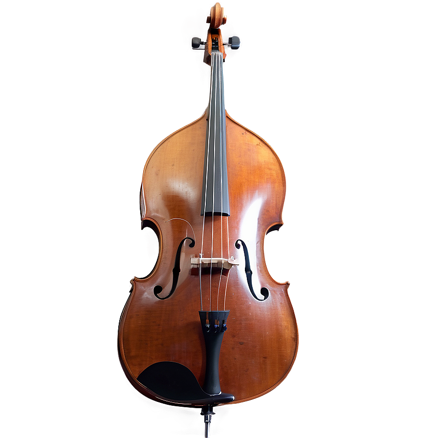 Double Bass Side View Png Fra32 PNG