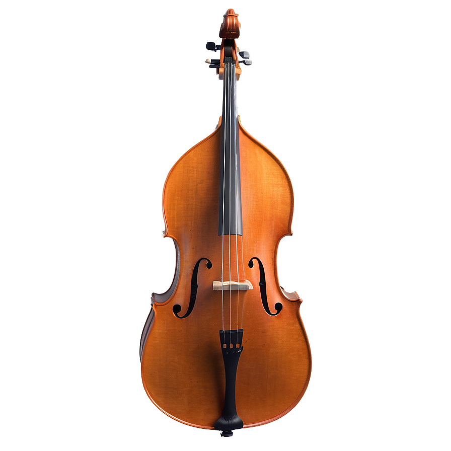 Double Bass Sketch Png Rbp32 PNG