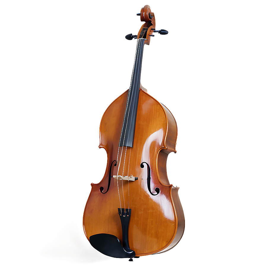 Double Bass With Roses Png 8 PNG