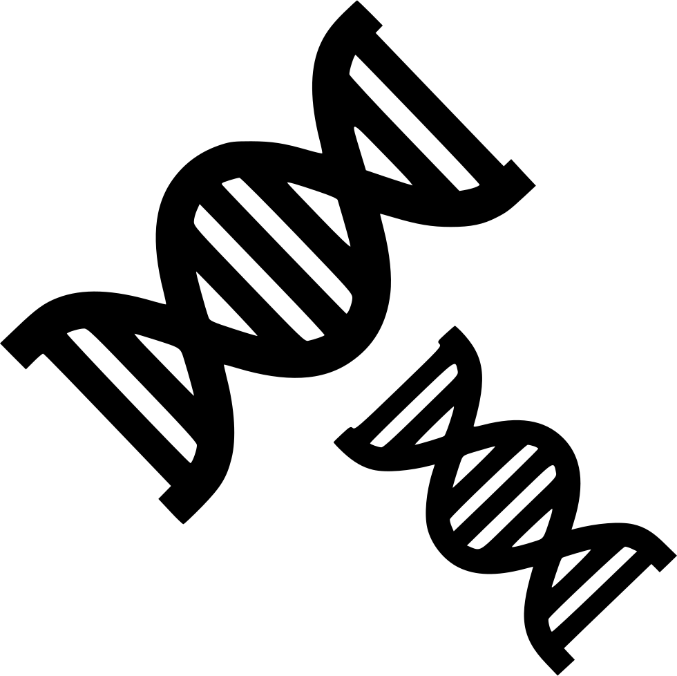 Double Helix D N A Graphic PNG