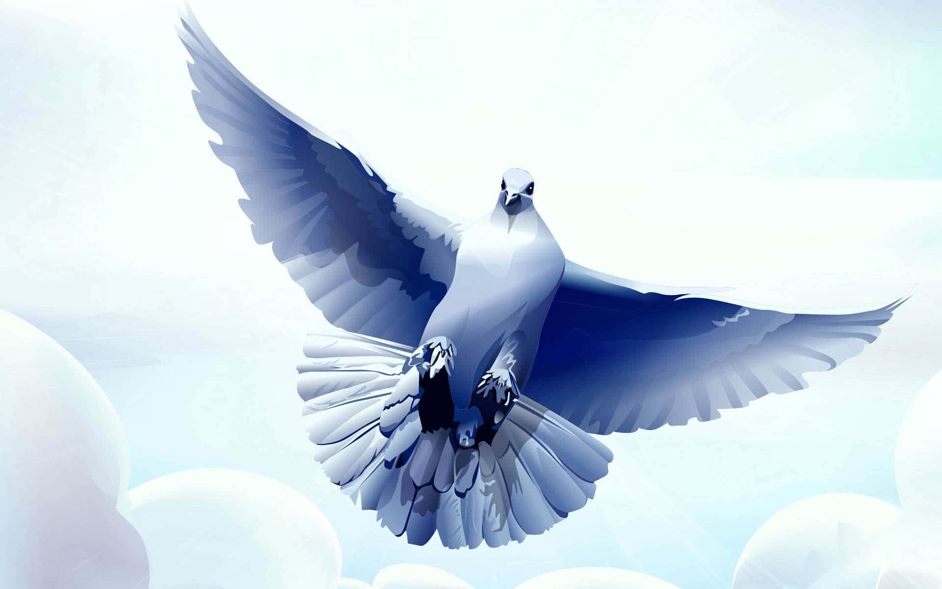 Beautiful White Dove Soaring in the Sky