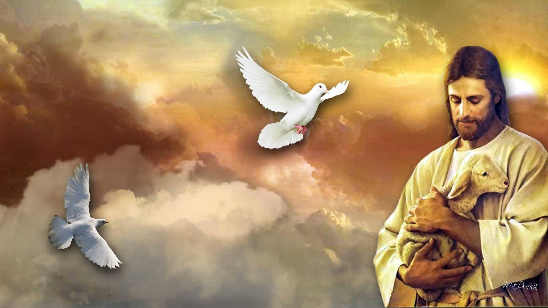 Dove, Lamb, And 4k Jesus