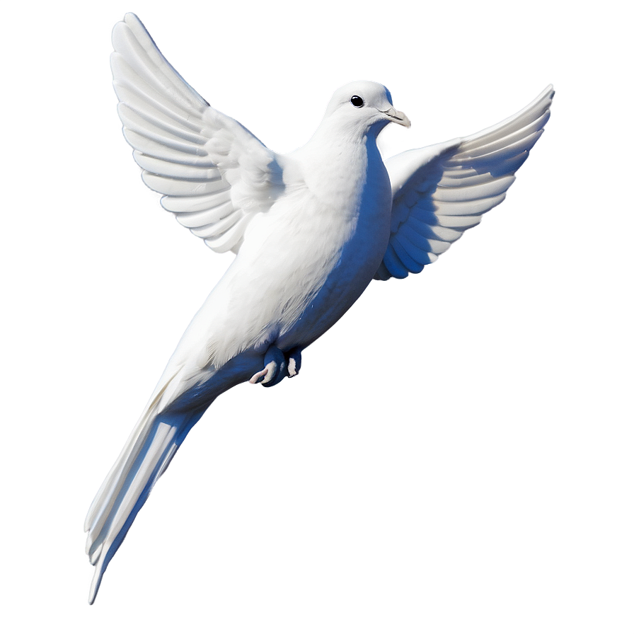 Download Dove Memorial Png Hrm17 | Wallpapers.com