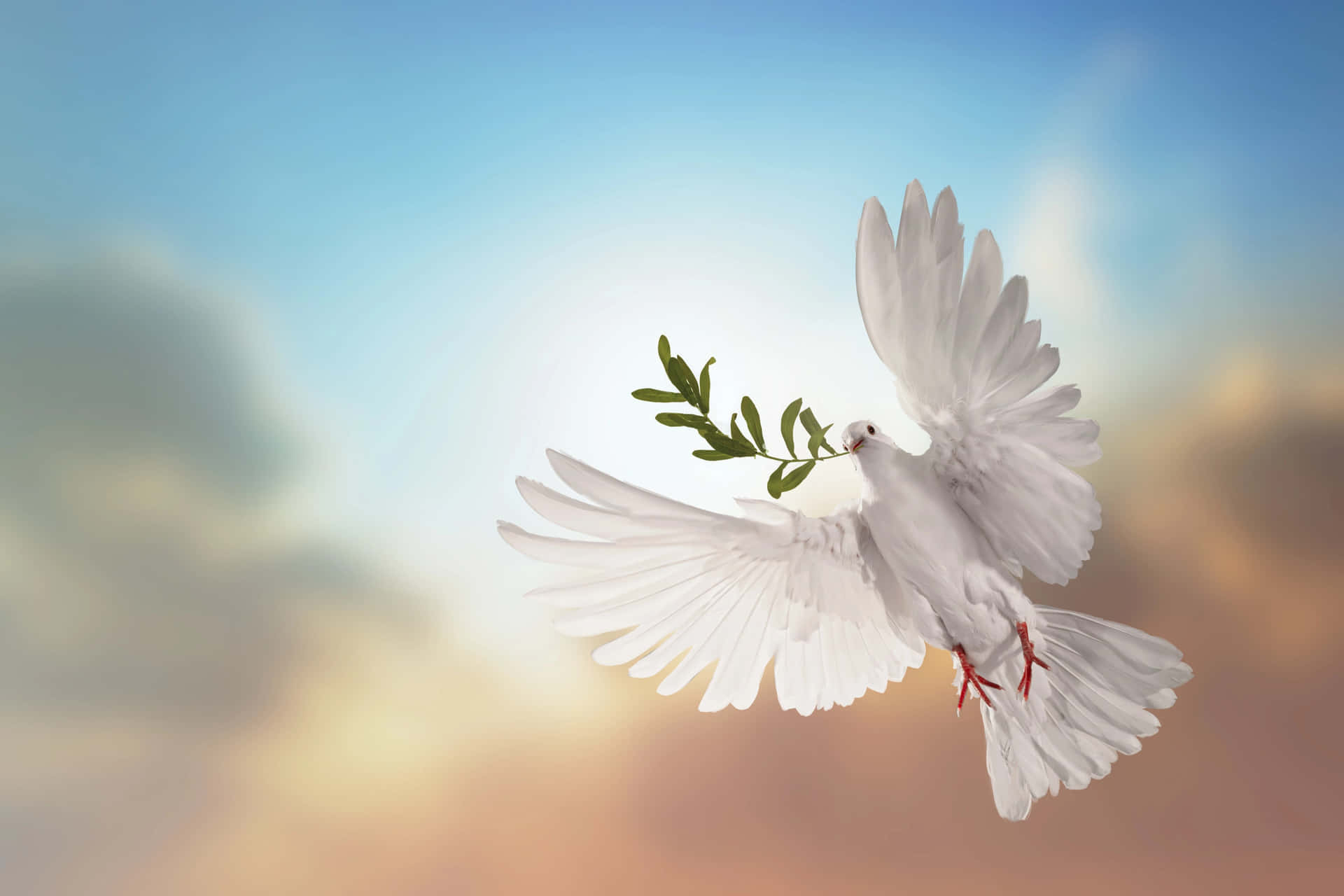 A White Dove Flying In The Sky With A Branch