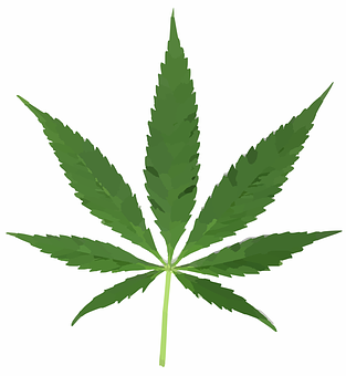 Cannabis Leaf Graphic PNG